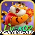 9x9999 VIP Gaming App